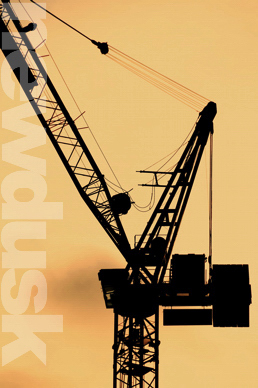 crane
